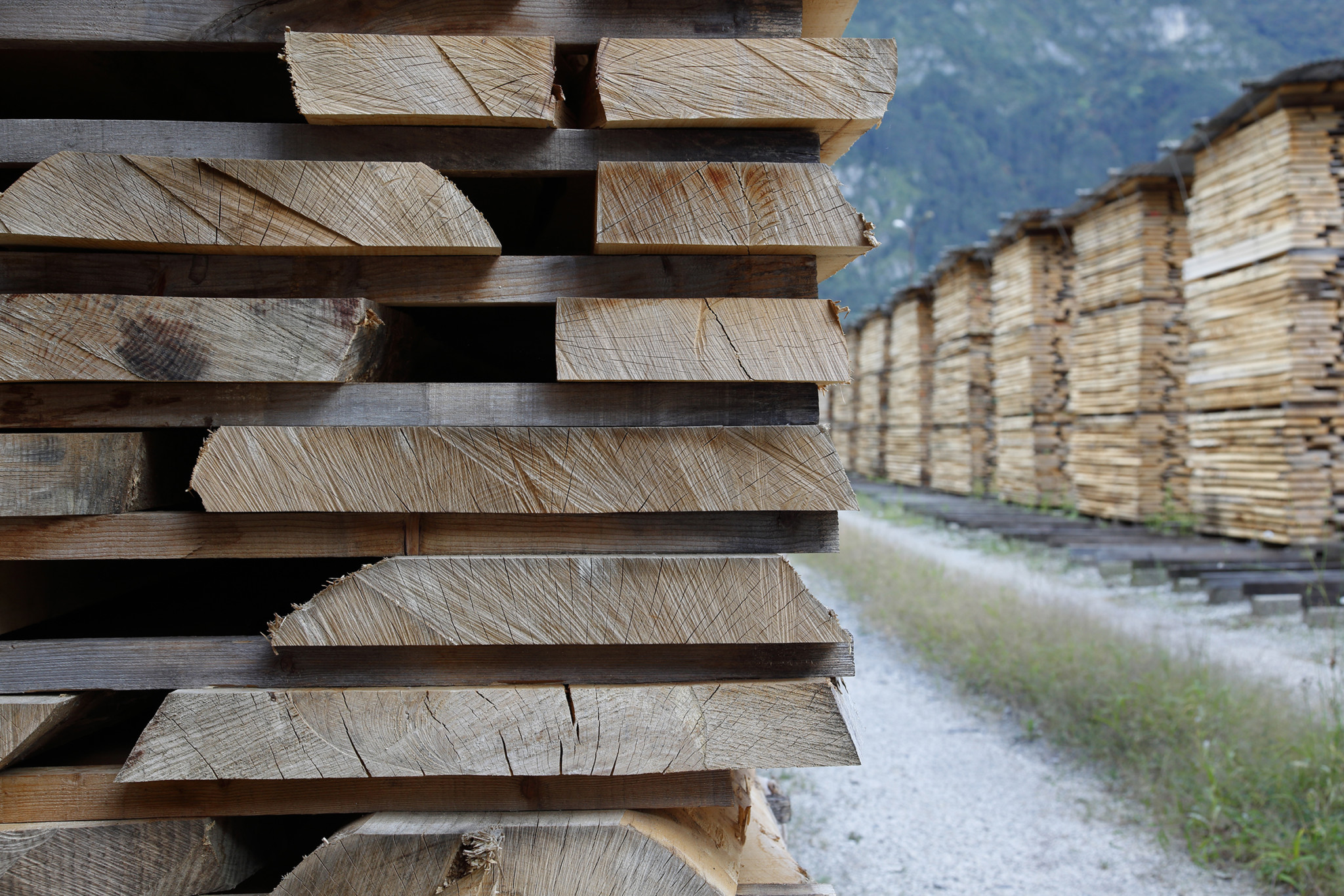 Tavole in legno in diverse misure e spessori - Segheria Bordiga in