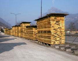 Natural timber drying in Bordiga