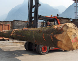 Unloading of Bordiga trunks